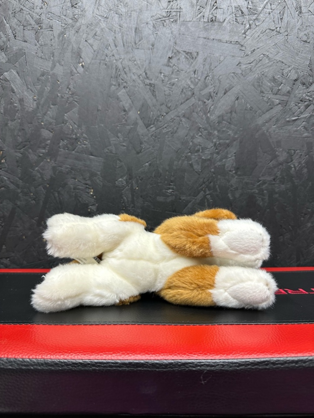 Webkinz Signature Lying Beagle - Picture 5 of 6